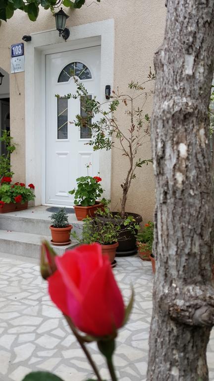 Hibiscus Guest House Budva Luaran gambar